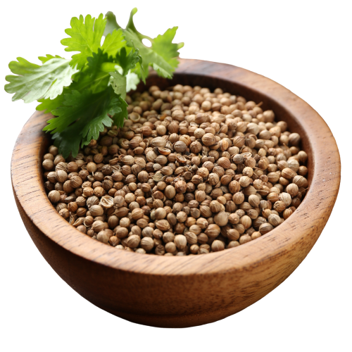 Coriander Seeds Whole - 100g