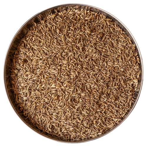 Cumin Seeds - 100g