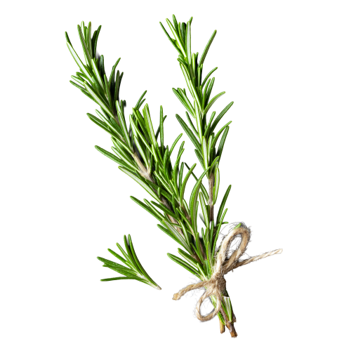 Rosemary - 100g