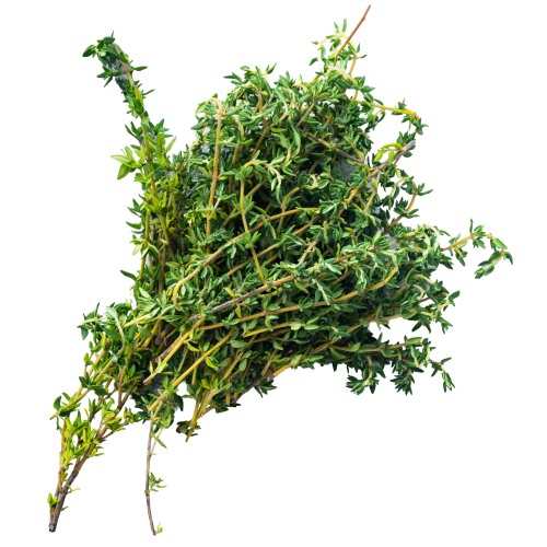 Thyme Leaves - 100g