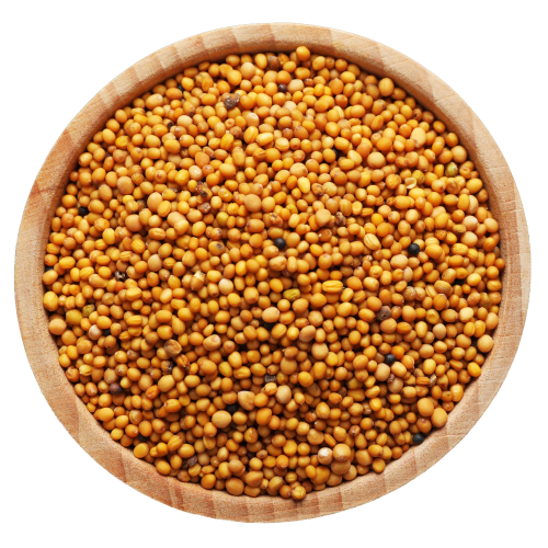 Mustard Seeds Yellow Whole - 100g